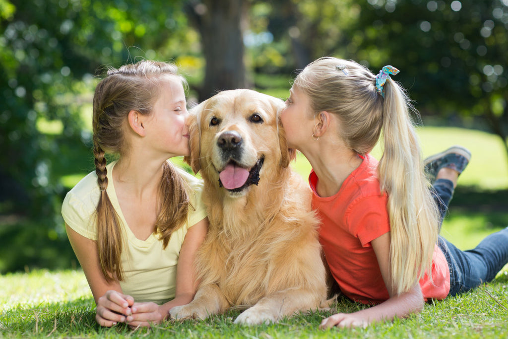 Several Tips On Pet Care
