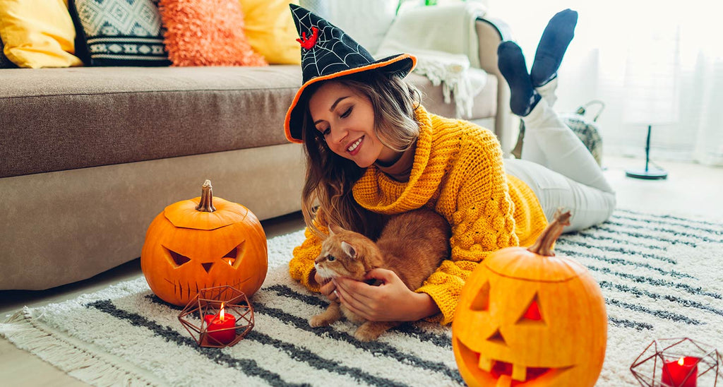 Top 7 Halloween Pets Safety Tips！