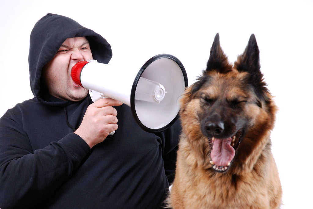 21 Human Behaviors Dogs Hate The Most