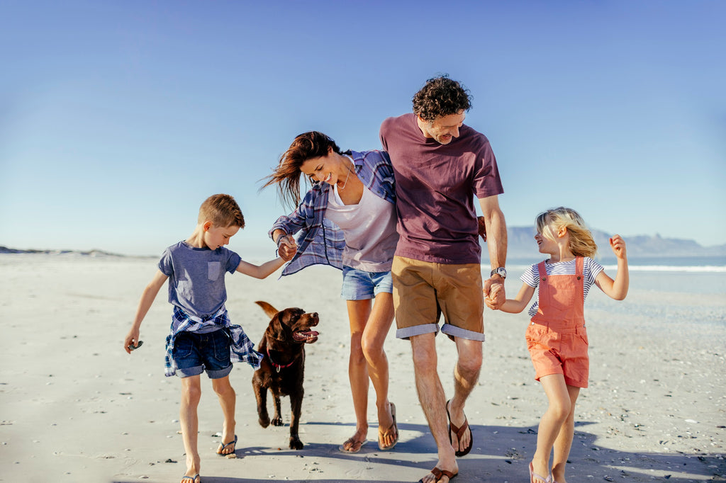 How to Keep Your Dog Safe from Hot Days?