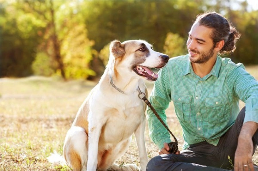 How To Understand Your “Dog Talk”?