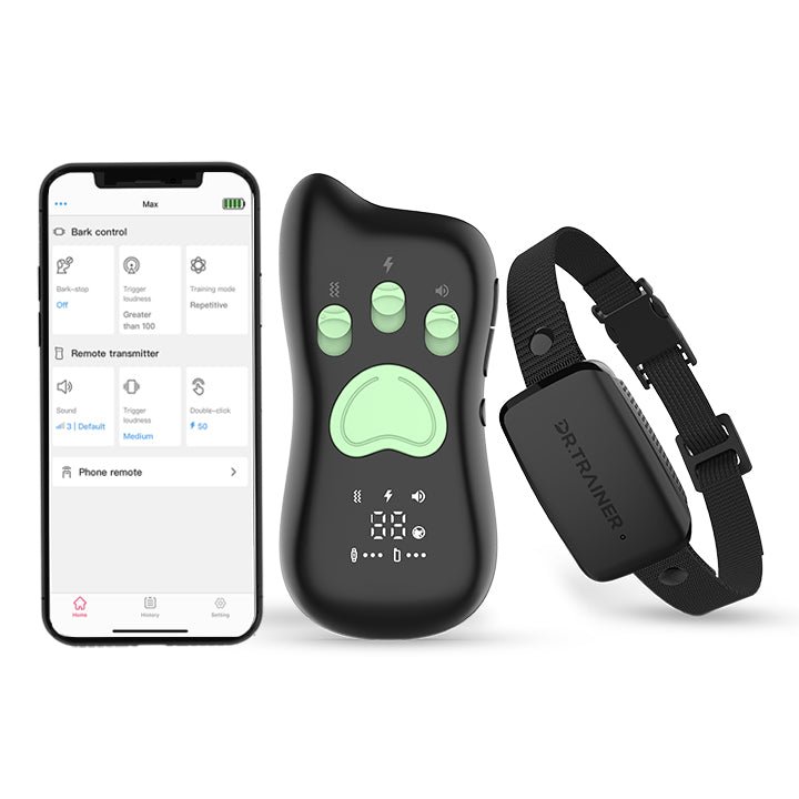 How to Choose A Better Training-Collar for Your Love Dog?