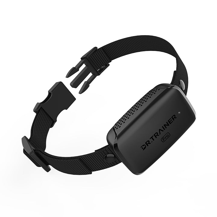B1 Pro