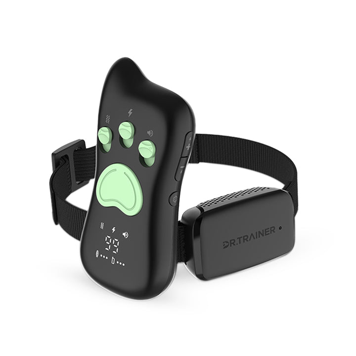 Training Collar dr.trainer